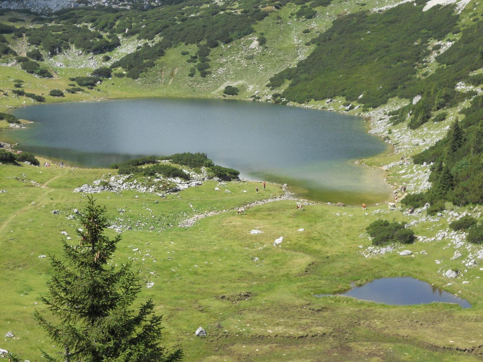 Landgasthof Pfarrwirt Hotell Thiersee Exteriör bild